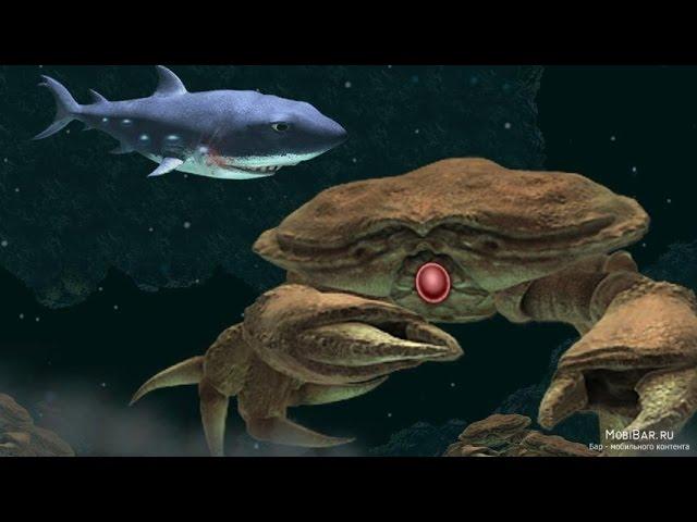 Hungry Shark Evolution. Как убить гигантского краба.