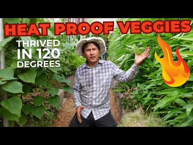 Vegetables That Thrived in 120 Degrees: Heat-Resistant Garden Tour