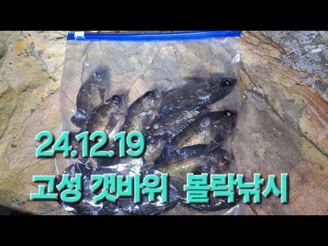 경남 고성 갯바위 볼락(24.12.19)11물