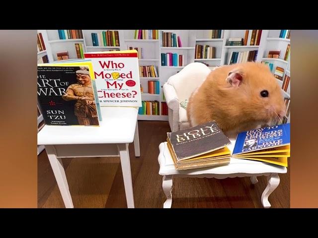 Hamster in the library with his Bible and his favourite self help books