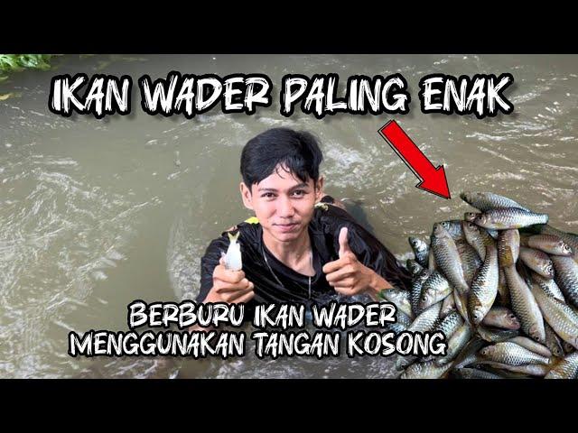 SURVIVAL DADAKAN BERBURU DAN BAKAR IKAN WADER PUTIHAN SAMBAL KECAP