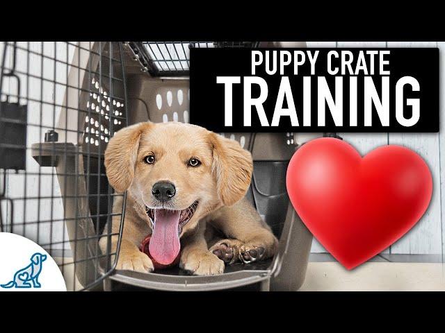 Crate Training Doesn't Need To Be Stressful!