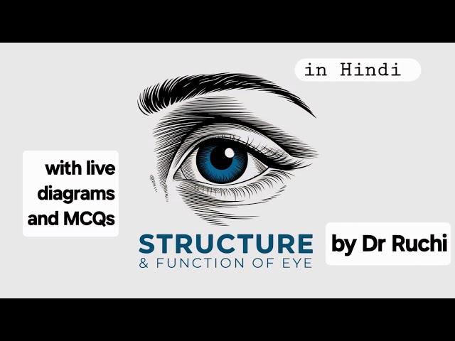 Structure and Function of Eye I Sense Organs - Eye