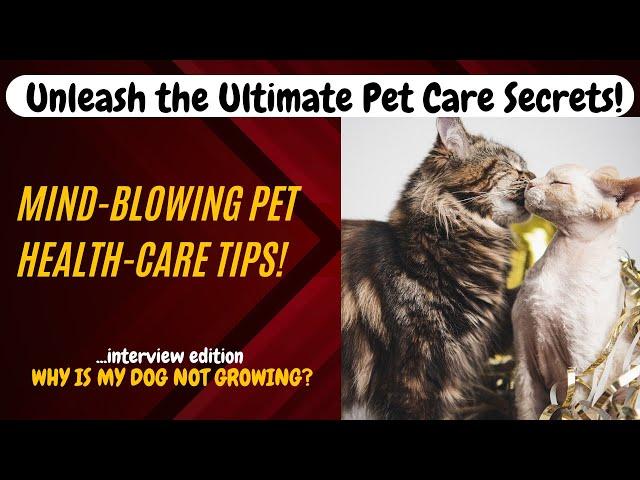 Unleash the Ultimate Pet Care Secrets! Pet Health Care Tips!