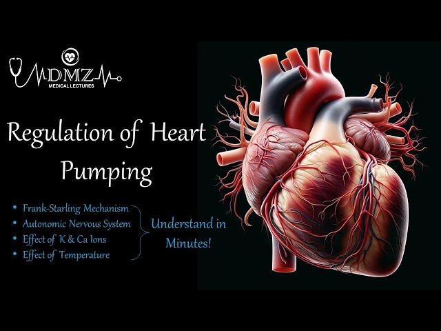 Regulation of Heart Pumping: Frank-Starling Mechanism, Autonomic Control, Ion & Temperature Effects