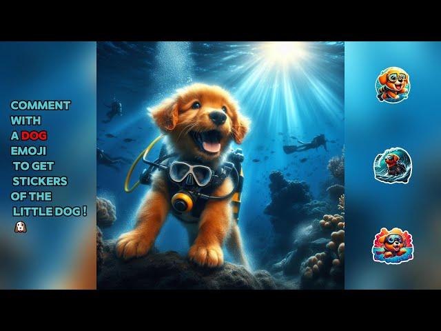 Title: "First Dive: Witness My Fluffy Dog's Underwater Adventure!"  #dog #puppy #usa