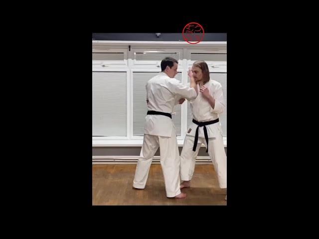 vDojo Snippet: Attached Applications for Uke Waza (Receiving Techniques)