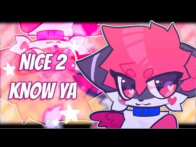 nice 2 know ya | animation meme