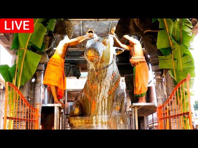 LIVE | நேரலை | 2021 | Tiruvannamalai Temple Pradosham live 02-12-2021