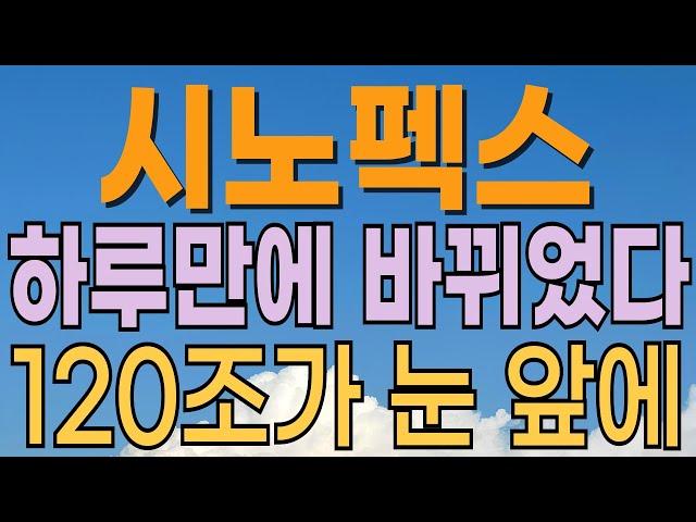[ 시노펙스 주가전망 ] 갑작스런 급등락 이유. 외국인 매도때문? 대응전략과 목표주가 파악 필수.