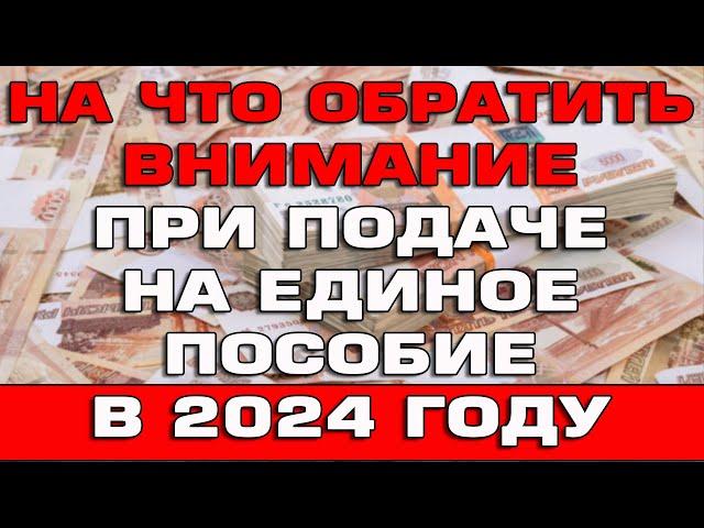 На что обратить внимание при подаче на Единое пособие в 2024 году