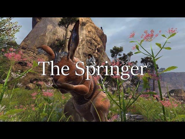 [GW2] [Lore] The Springer Mount