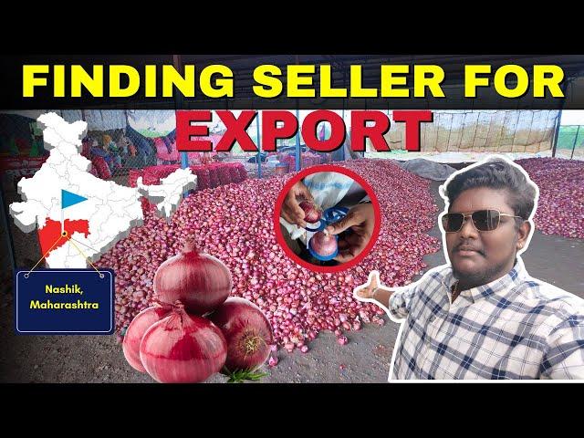 Exploring Nashik's Onion Market: Sourcing Quality Produce for Export & Trading