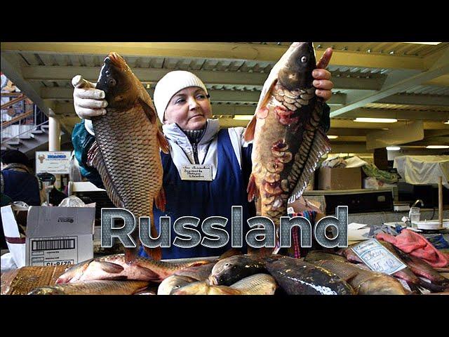 1000 km From Moscow/ Where to Buy Cheap Northern Fish???  Life of Russians Not Far From Arctic