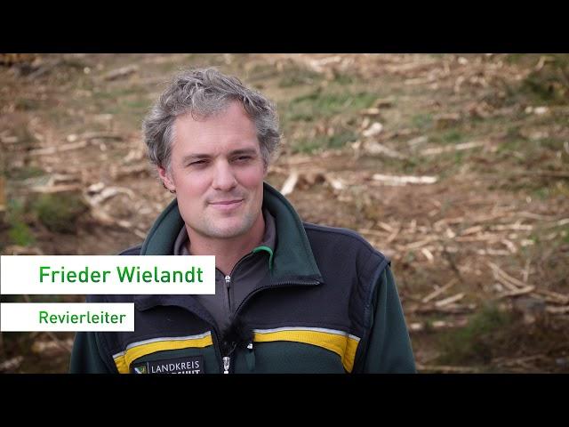 ForstBW - Klimabedingte Waldschäden