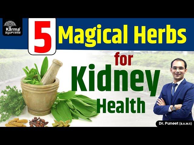 5 Magical Herbs for Kidney | Kidney Treatment in Ayurveda | Karma Ayurveda USA | Dr Puneet Dhawan