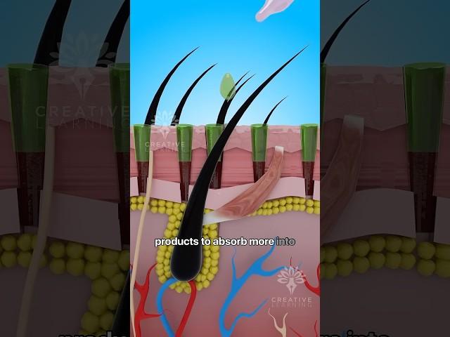 How a Derma Roller Can Boost Your Hair Growth #shorts #microneedling - creativelearning3d