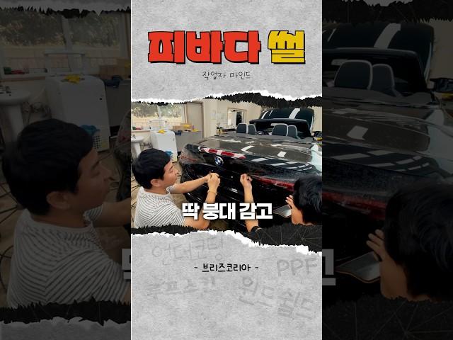 PPF잘하는곳 브리즈코리아 VLOG #ppf #ppf시공 #전체ppf