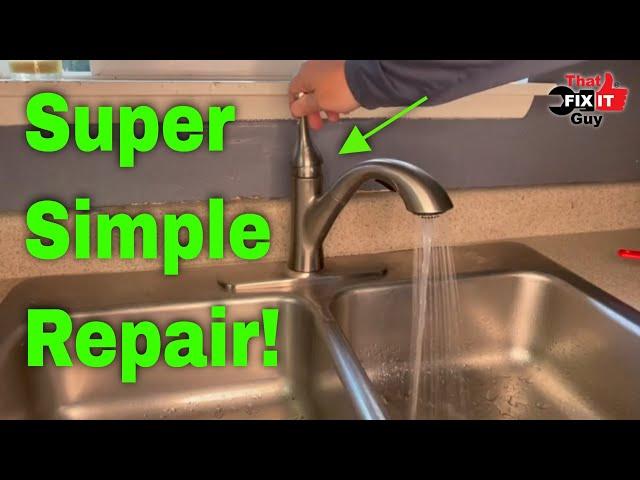 Delta Single Handle  Kitchen Faucet Repair