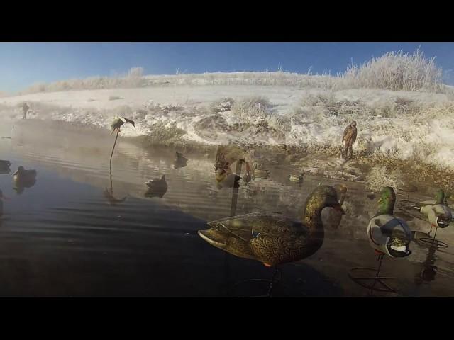 duck hunting ice hole