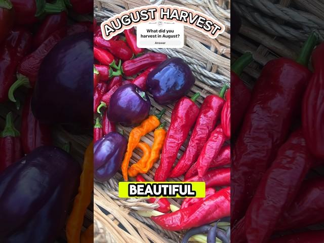 HOTTEST Summer Month Harvest Keep your plants watered and cover for heat protection if needed.