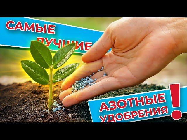 Лучшее азотное удобрение! И азота больше всего и усваиваеться лучше всего