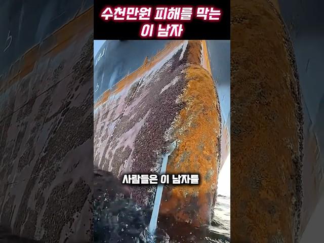 따개비 제거 전문가의 놀라운 비밀! 수천만원 피해 막는 천재적 장비 개발