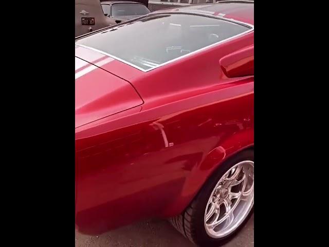 #mustang 