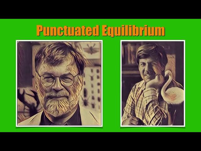 Punctuated Equilibrium