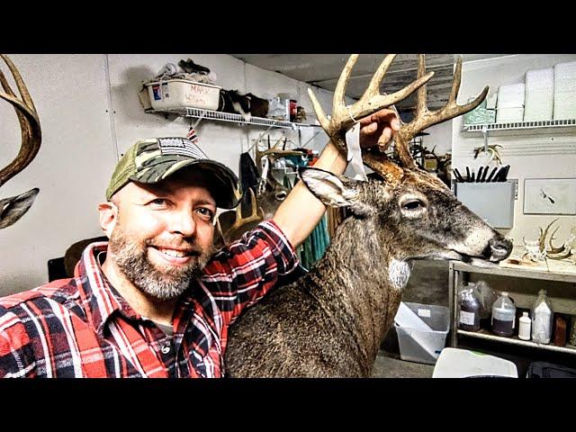 HOW TO MOUNT A DEER HEAD FOR BEGINNERS  ***SUPER EASY*** WHITETAIL TAXIDERMY!