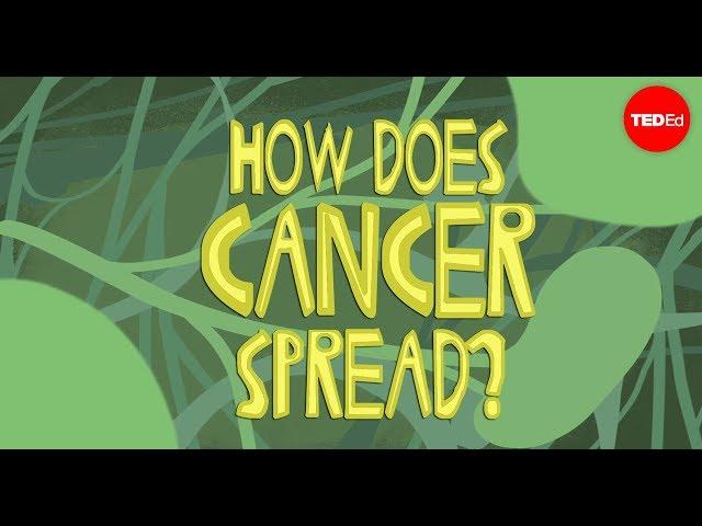 How does cancer spread through the body? - Ivan Seah Yu Jun