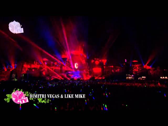 Tomorrowland 2013 - Dimitri Vegas & Like Mike - Friday