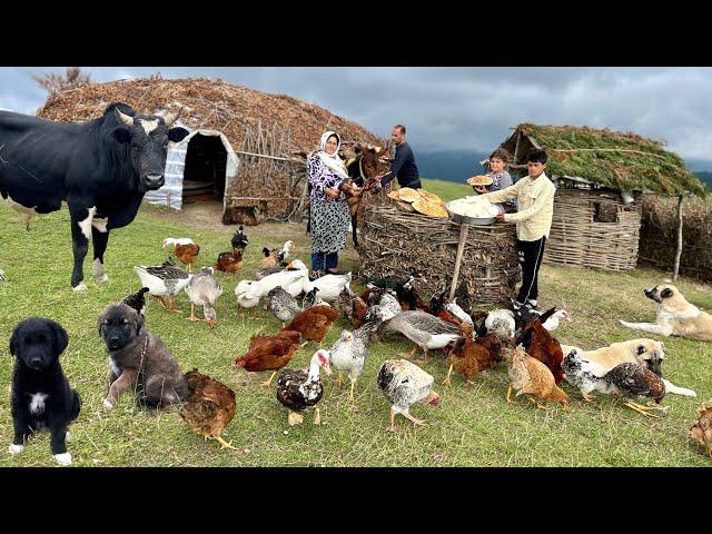 Creating Traditional Local Cheese, Baking Bread, And Cooking Fried Chicken