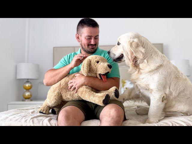 Hugging Another "Puppy" | Jealous Dog Reaction