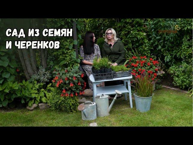 Сад из семян и черенков // Ландшафтный дизайн - это просто! Сезон 4