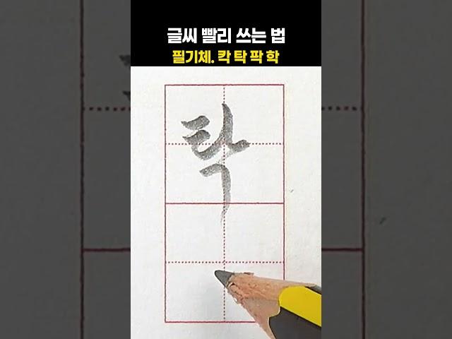 글씨 빨리 쓰는 법. 필기체. 칵탁팍학