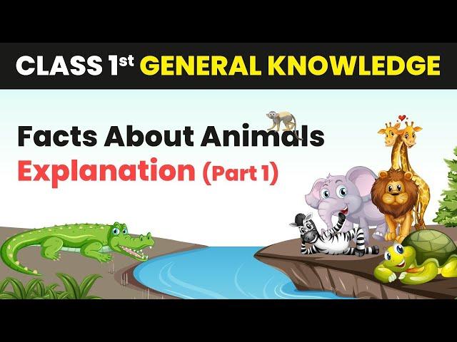 Facts About Animals (G.K) - Explanation (Part 1) | Class 1 General Knowledge (G.K)