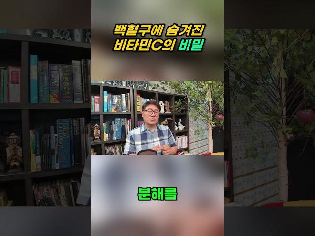 백혈구에_숨겨진_비타민C의_비밀