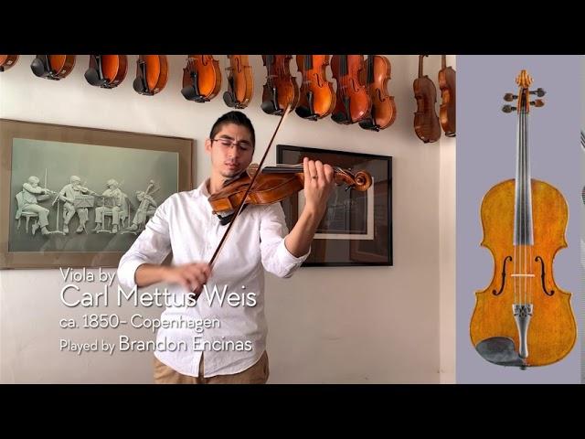 Carl Mettus Weis 17" viola, ca. 1850 / Brandon Encinas / at the Metzler Violin Shop