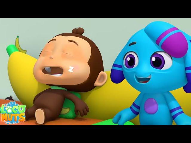 Sleep Over, Funny Cartoon and Animal Show for Kids