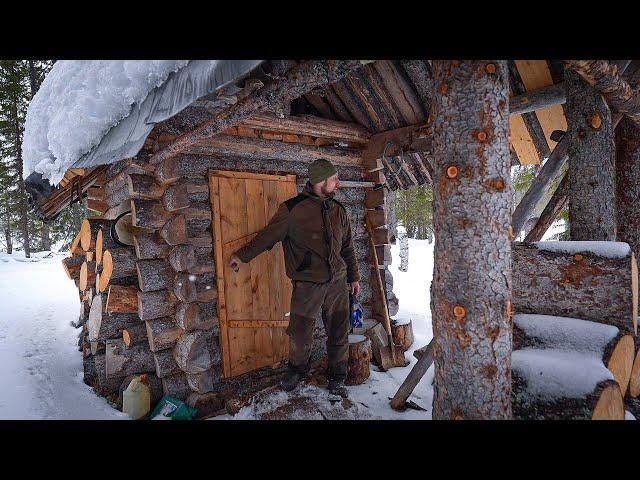 ПУШНИНА ПРЁТ В КАПКАНЫ. ЗАКРЫТИЕ ОХОТЫ. РЫБАЛКА НА ЖЕРЛИЦЫ.