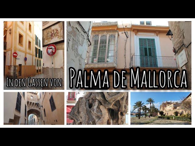 Palma de MallorcaAltstadt im DetailRundgang und Talk