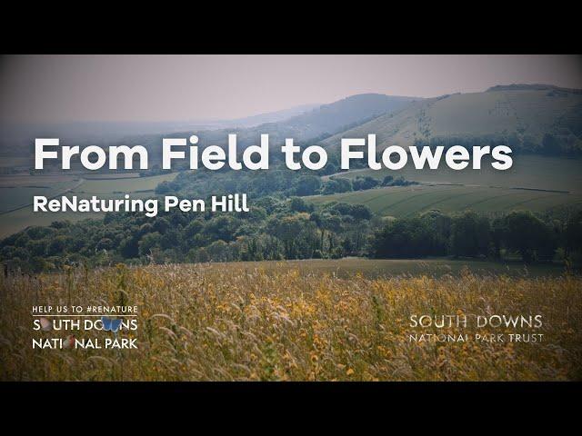 From Field to Flowers: ReNaturing Pen Hill