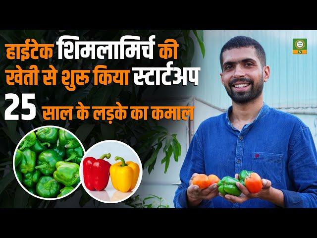 #Polyhouse में शिमलामिर्च की खेती का नया तरीका | Capsicum Farming से पाएं दोगुना मुनाफा |