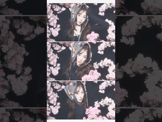 #모노맨션 주인장