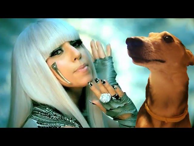 Lady LaLa (Lady Gaga feat. the La La Dog)