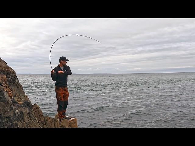 Unique Lure Catches the Biggest Fish | Rock Fishing | Lure FIshing UK