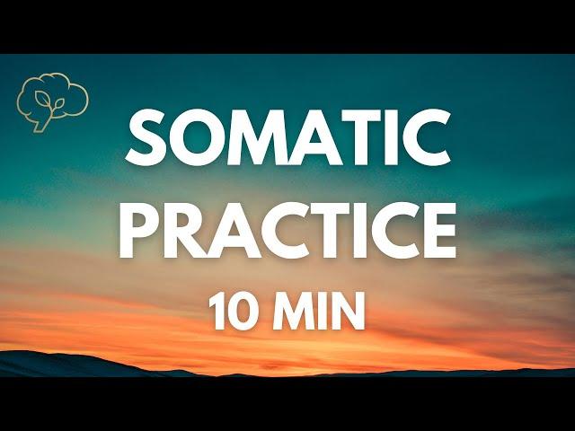 Somatic Exercises for Nervous System Regulation | 10 Min Guided