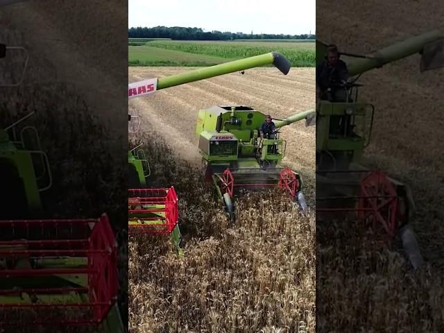 Claas Lexion vs Claas Cosmos  #agriculture #harvest  #farming #agro @FlyingPixelsPhotography