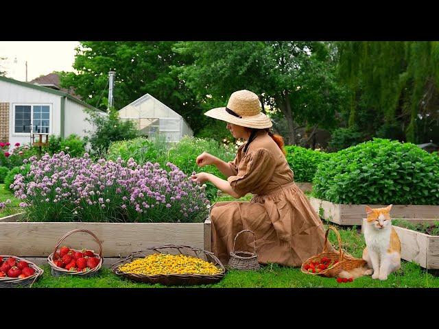 Strawberry Picking & Canning in the Heartland: Cozy Jelly Making, Pop Tarts, & Nature ASMR